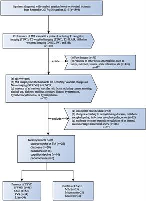 New Insights in Addressing Cerebral Small Vessel Disease: Association With the Deep Medullary Veins